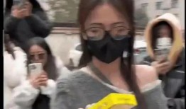 香港娱乐吃瓜爆料,揭秘明星幕后故事与幕后黑手